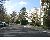 Rue devant les Sapins, Saules...