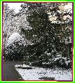Paysage hivernal au Domaine