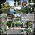 Patchwork photos du Domaine de l Ile